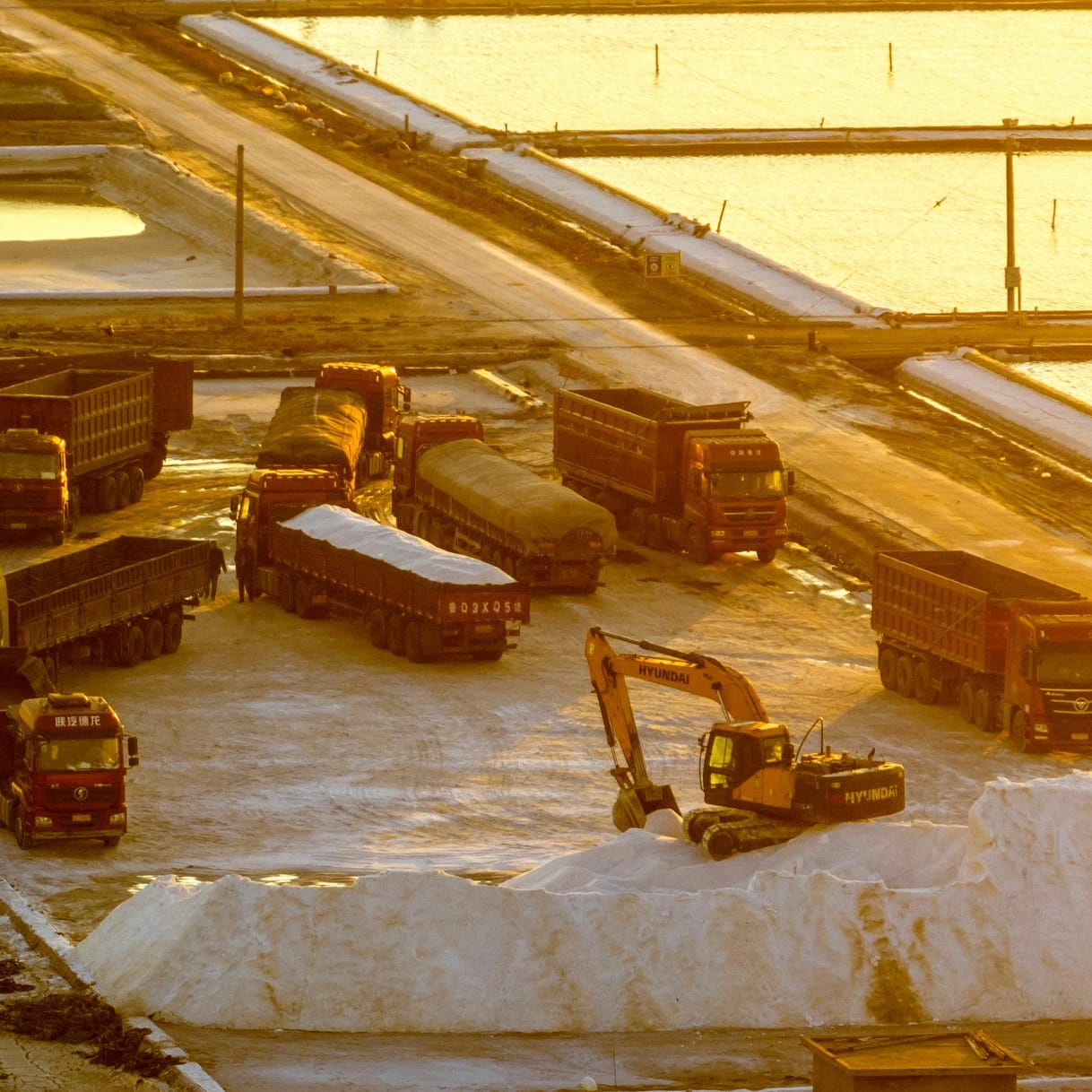 Logistique 2 salt extraction sea salt Egyptian product