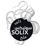 Home 45 Solix Refined edible salt food grade 10 kg